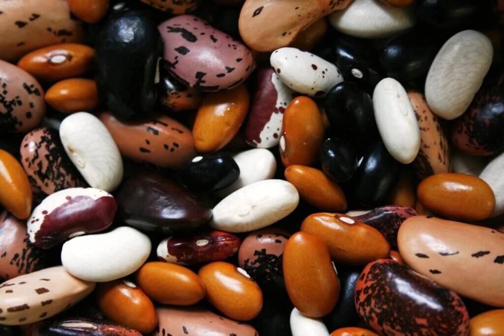 Close up of colorful variety of dried beans, legumes